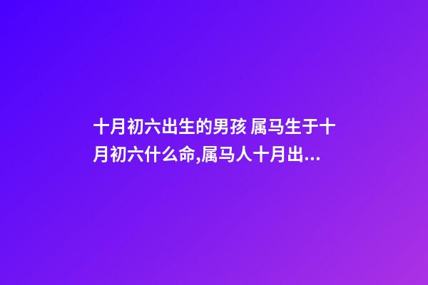 十月初六出生的男孩 属马生于十月初六什么命,属马人十月出生好吗-第1张-观点-玄机派